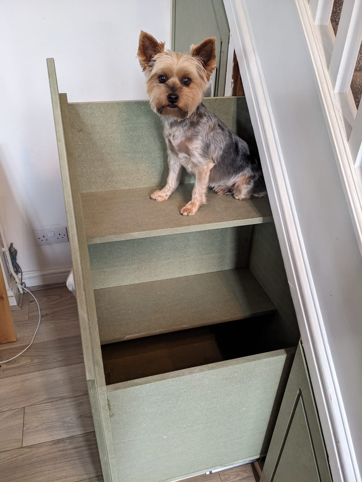 Under-stairs storage, primary view